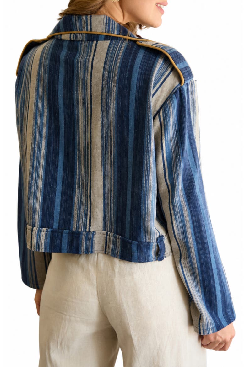 Striped Denim Jacket, Alternate, color, BLUE