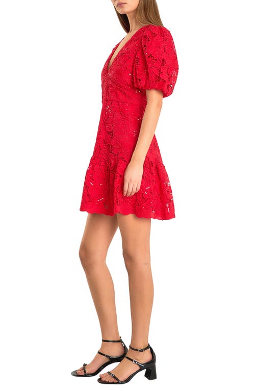 Endless Rose Sequin Lace Fit & Flare Minidress In Red
