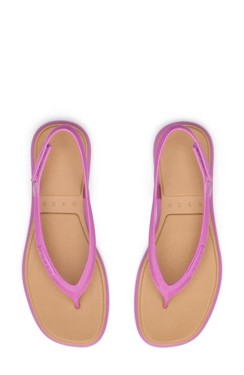 Reef Water Willow Maya Slingback Sandal In Pink