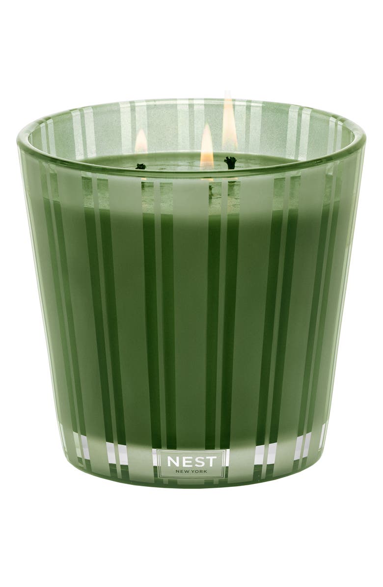 NEST New York Midnight Moss & Vetiver Candle, Alternate, color,