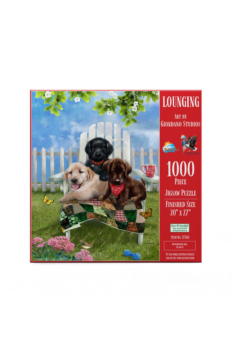 Sunsout Lounging 1000 piece Jigsaw Puzzle for Adults, Alternate, color, Multicolor