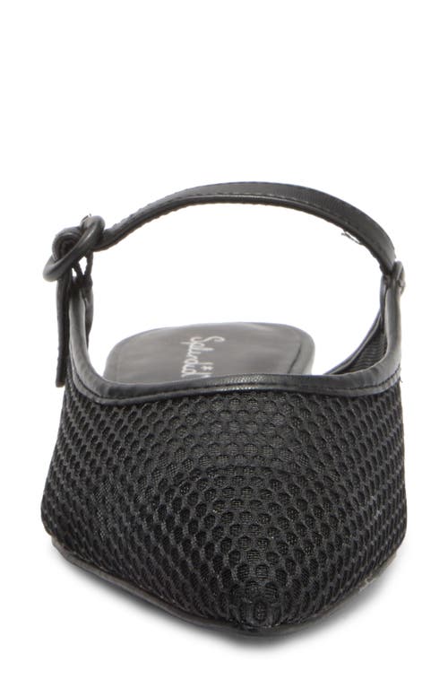 Splendid Mulan Mesh Mule