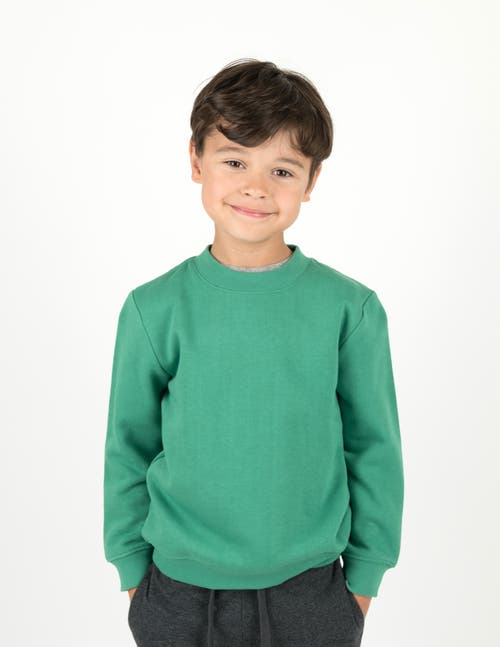 Leveret Kids Pullover Sweatshirt, Long Sleeve, Solid Colors In Animal Print