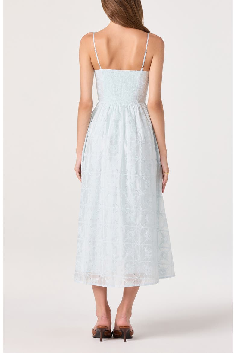 Aubrey Embroidered Sleeveless Maxi Dress, Alternate, color, POWDER BLUE