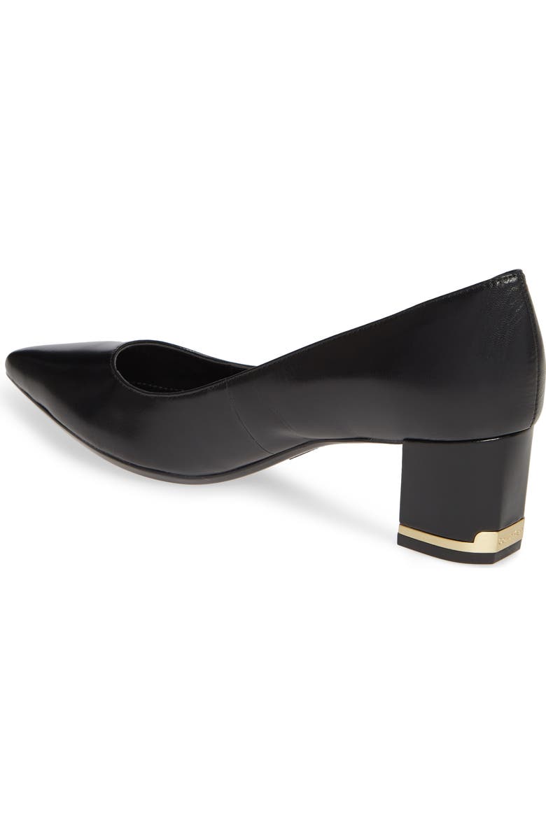 Calvin Klein Nita Pointed Toe Pump, Alternate, color,
