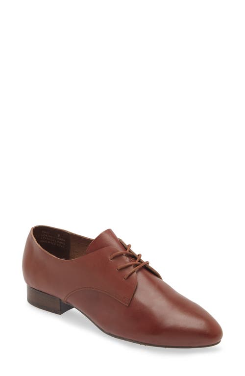 Chocolat Blu Emil Derby in Brown Leather 