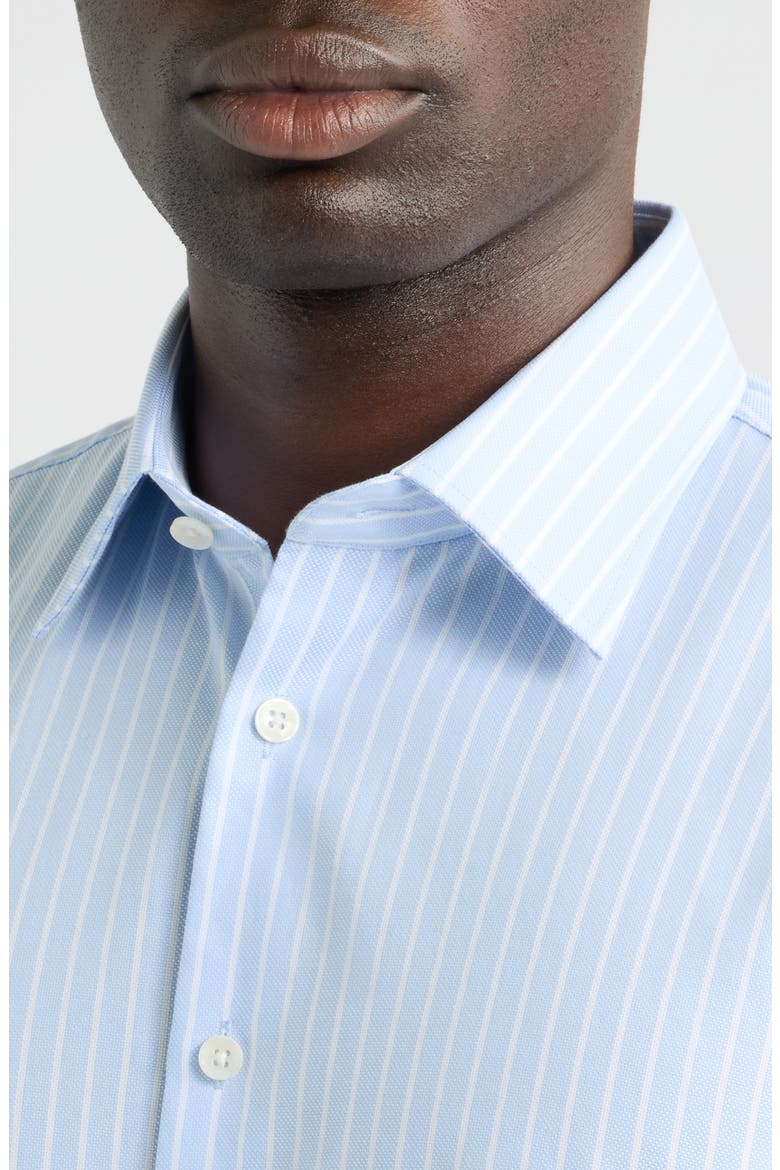 Traditional Fit Stripe Premium Non-Iron Cotton Dress Shirt, Alternate, color, BLUE- WHITE GEORGE STRIPE