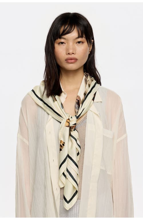 Bimba Y Lola Dog Print Scarf In Neutral