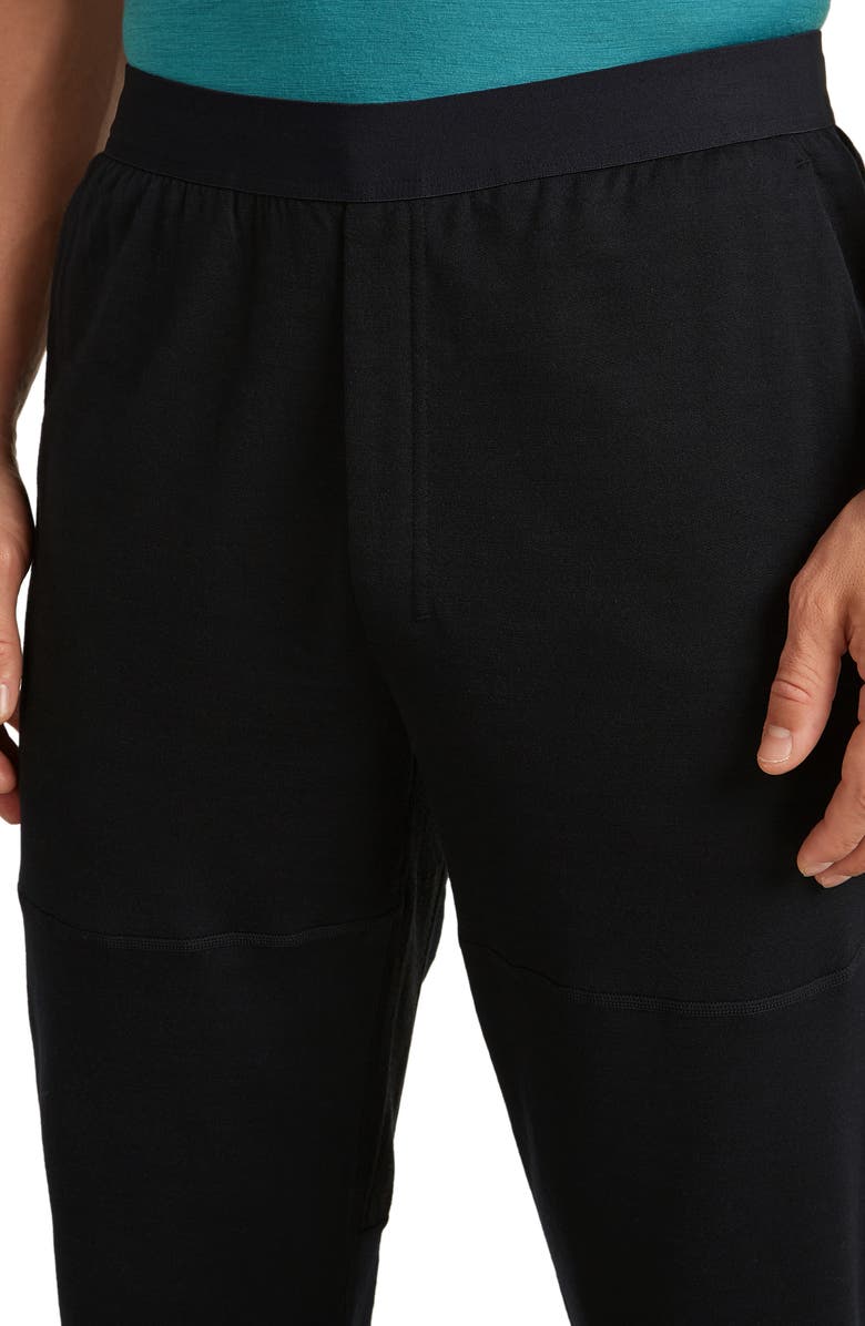 Icebreaker 300 Descender Joggers, Alternate, color, Black