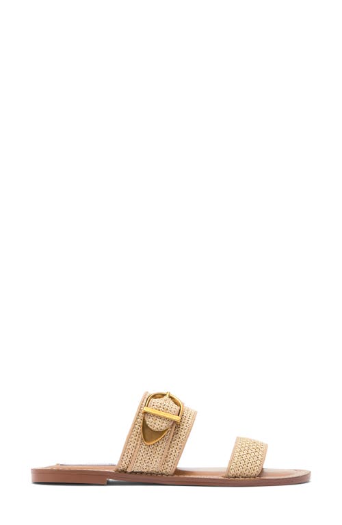 Steve Madden Sivan Slide Sandal