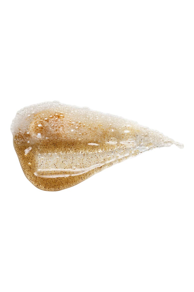 Ginger Exfoliating Body Wash, Alternate, color, NO COLOR