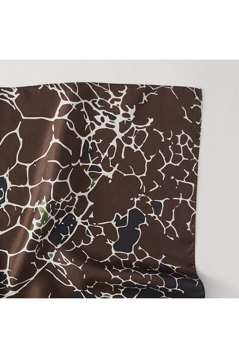 Threaded Roots Silk Scarf, Alternate, color, Brown/Neutral