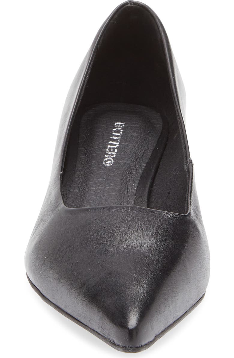 Bottero Alessandra Pointed Toe Ballet Flat, Alternate, color, Preto