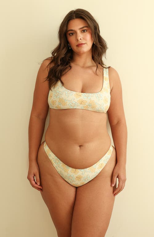 Dippin Daisys Sunny Bralette Top In Bahama Mama