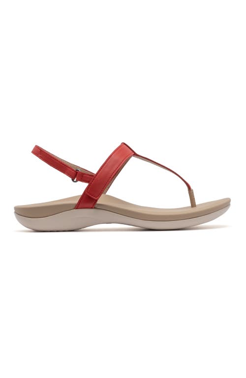 ABEO ABEO OASIS T STRAP SANDAL