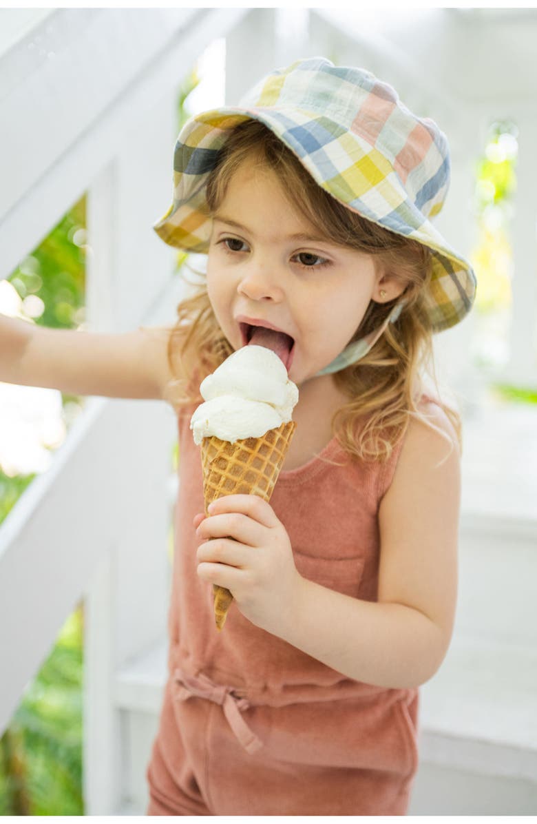 Pehr Checkmate Bucket Hat, Alternate, color, Picnic