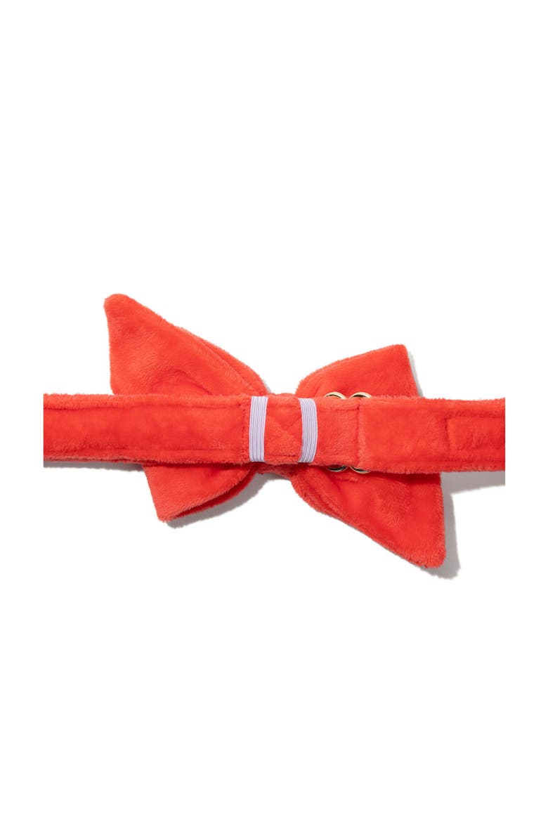 Suki Babe Bow, Alternate, color, Suki