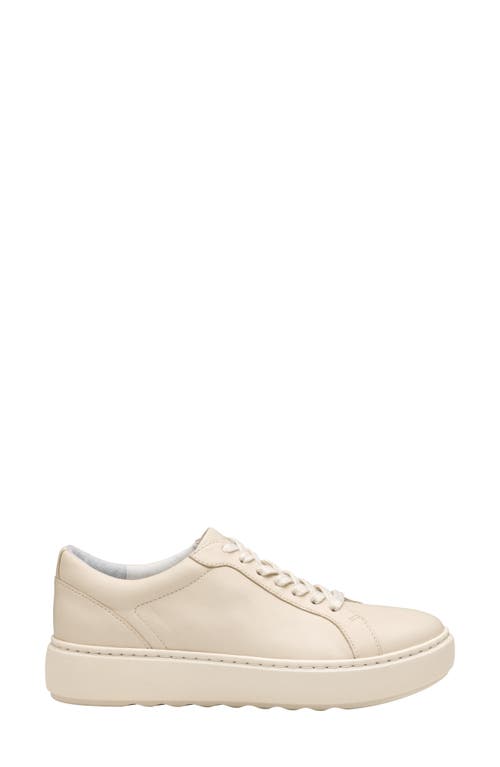 Johnston & Murphy Cammie Low Top Sneaker In Bone Nappa Leather