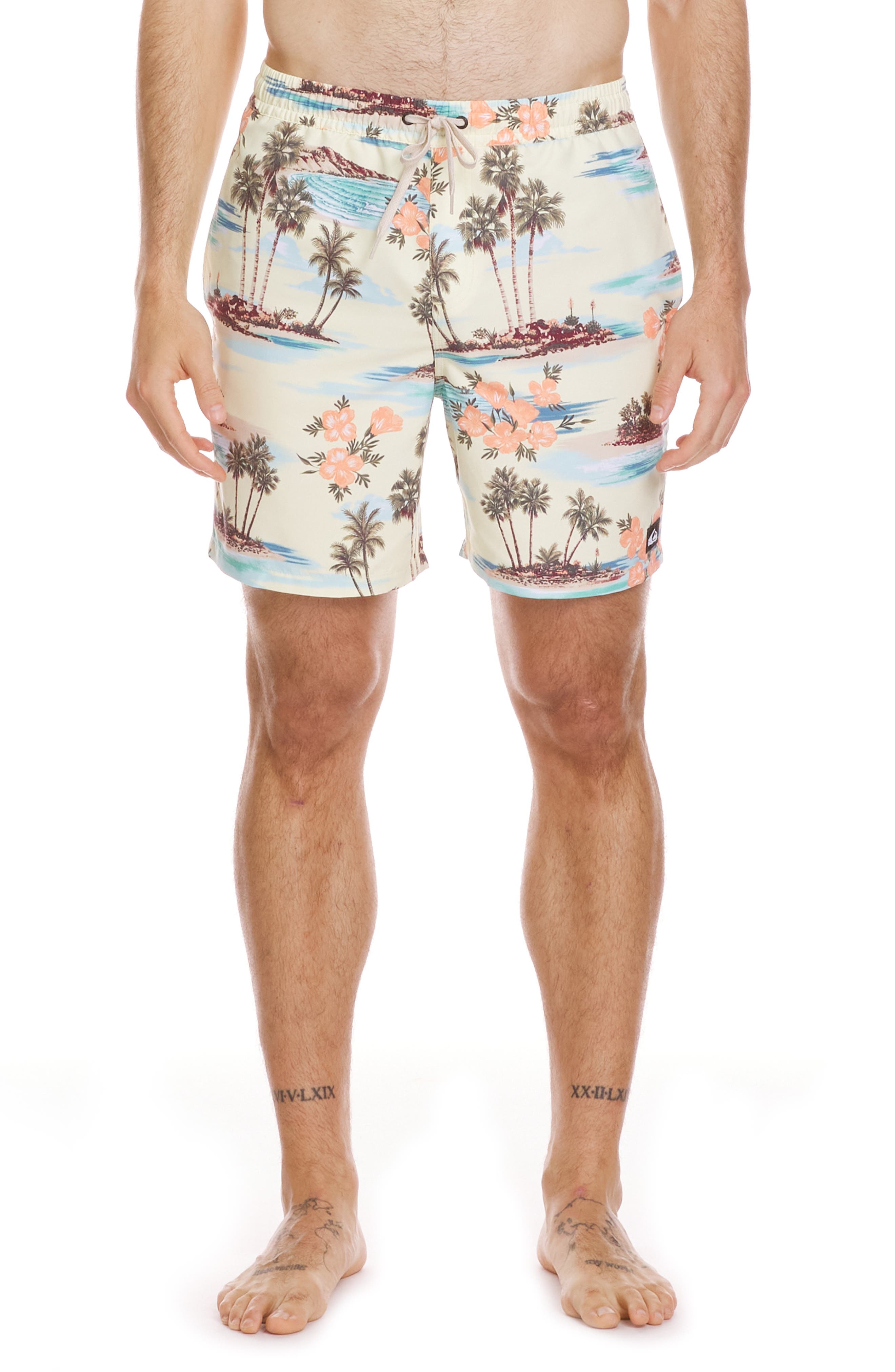 Quiksilver Everyday Mix Volley Swim Trunks