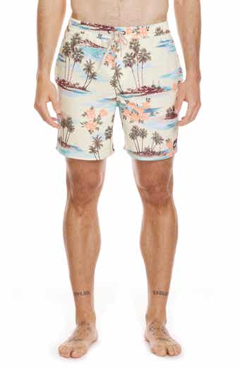 Quiksilver Everyday Mix Volley Swim Trunks