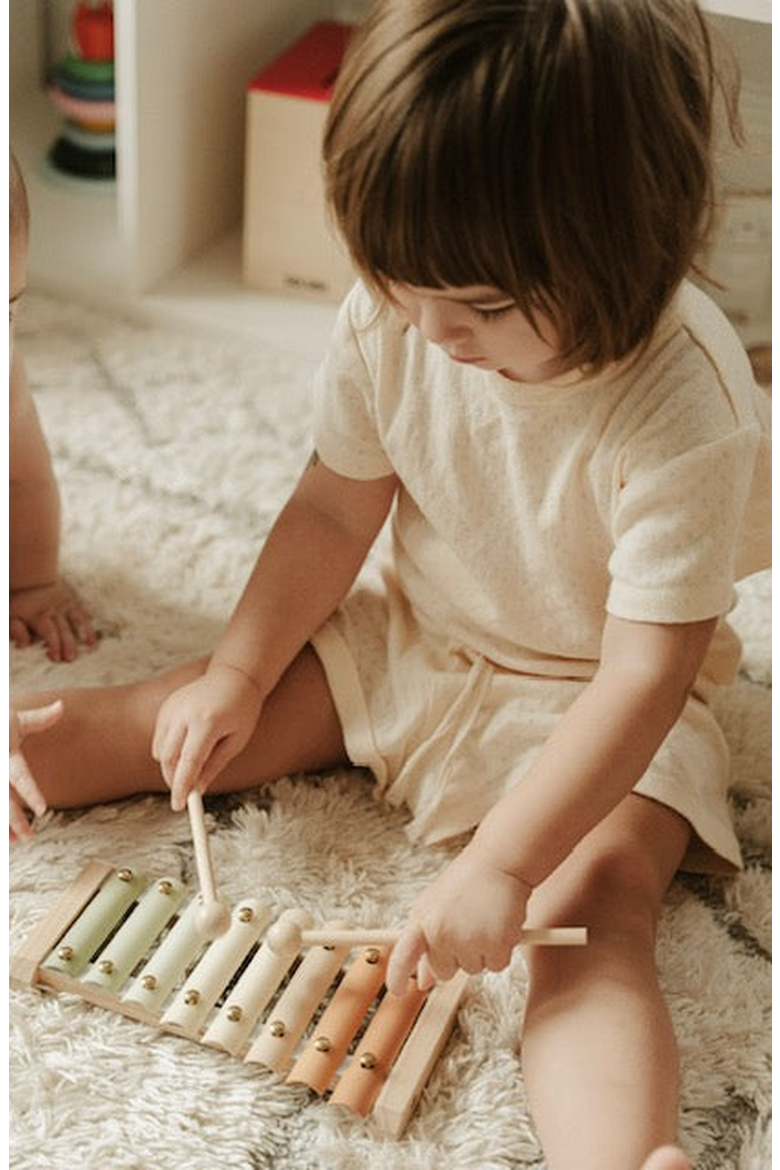 Xylophone, Alternate, color, Neutral