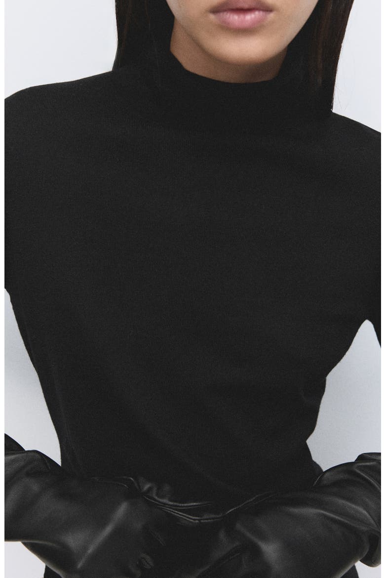 Turtleneck Tunic with Brooch, Alternate, color, BLACK