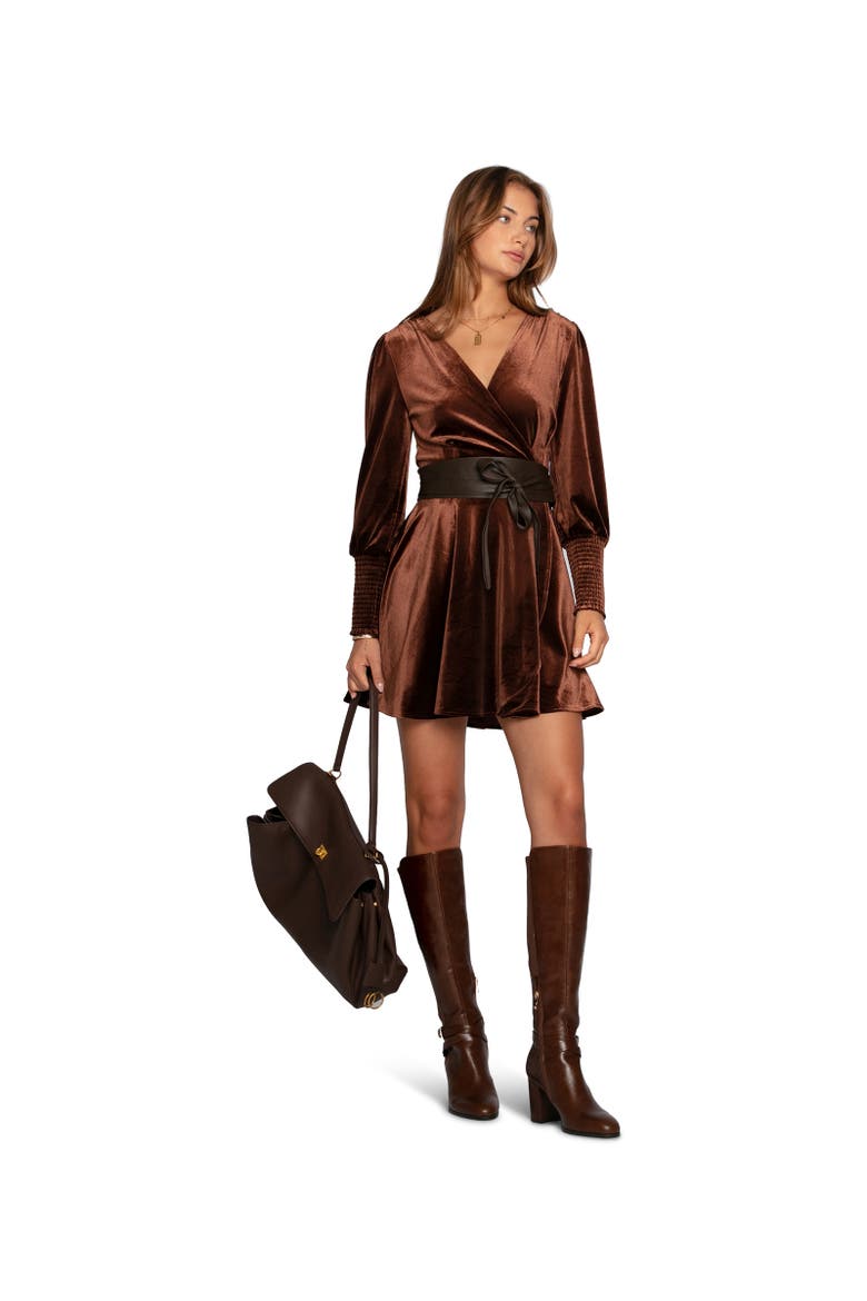 Loved You First Velvet Mini Dress, Alternate, color, Dark Brown