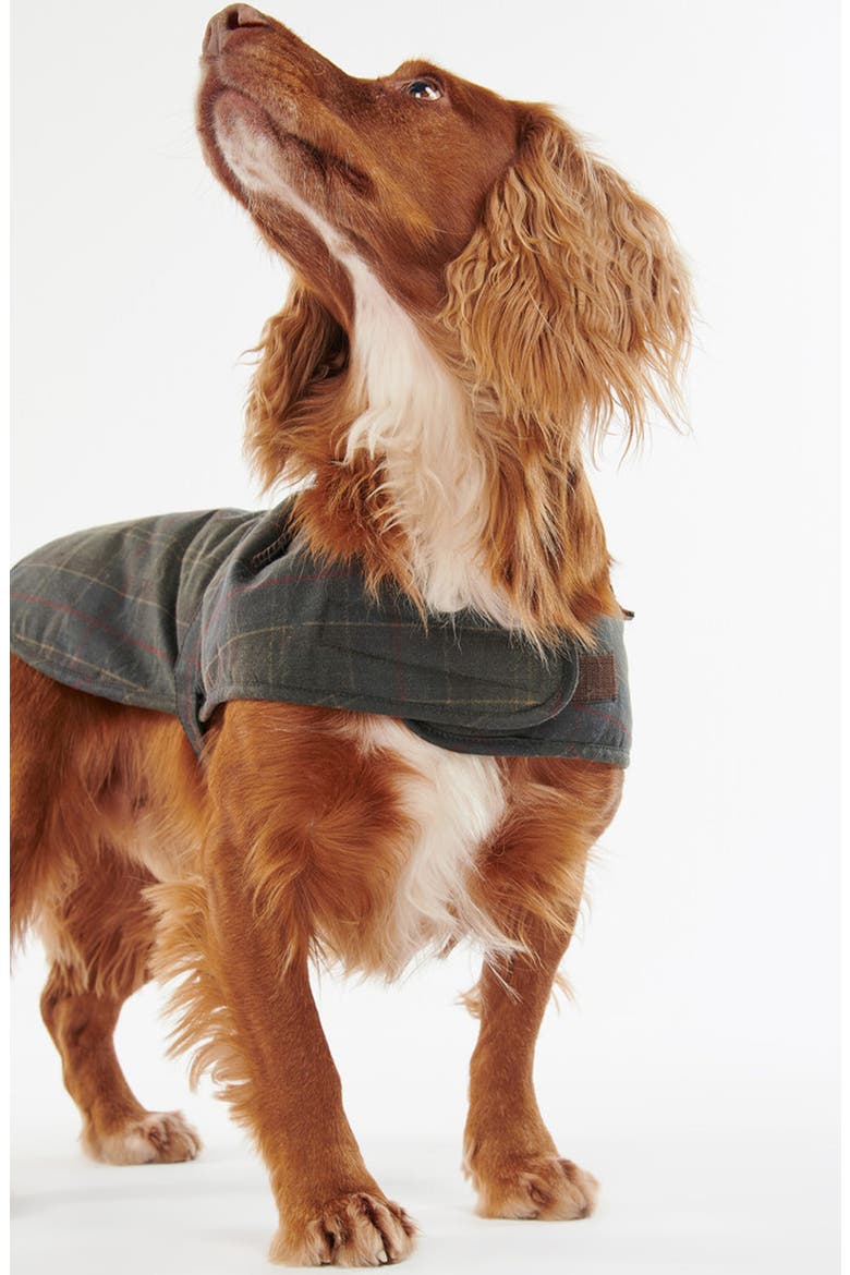 Waxed Cotton Dog Coat, Alternate, color, CLASSIC TARTAN