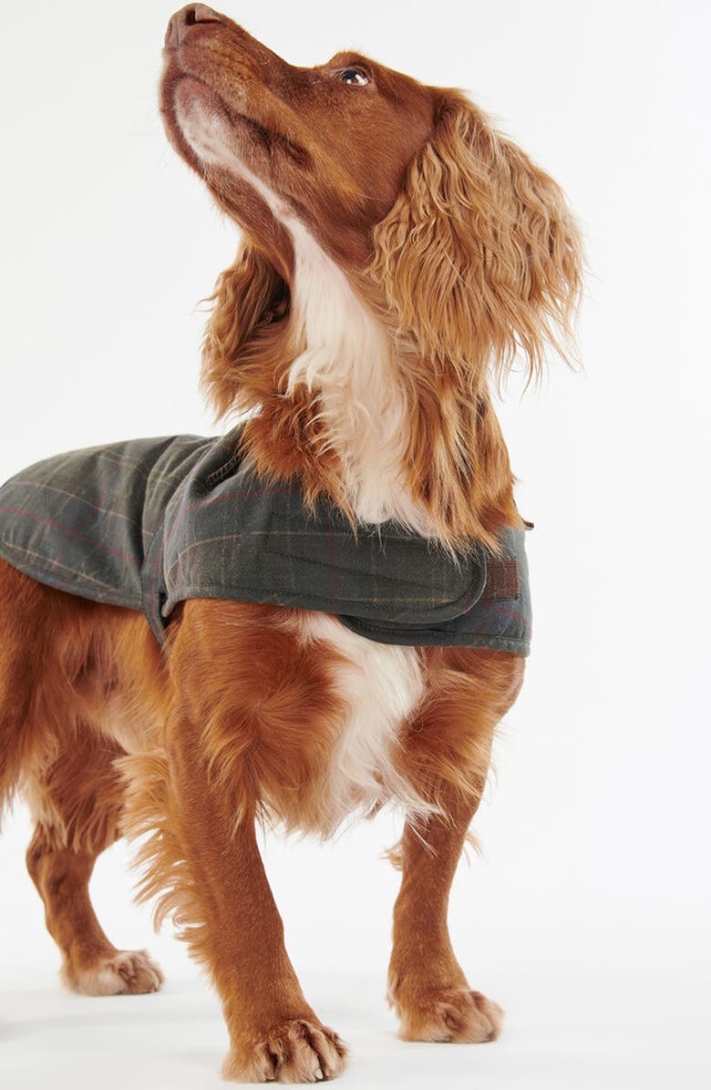 Barbour Waxed Cotton Dog Coat, Alternate, color, Classic Tartan