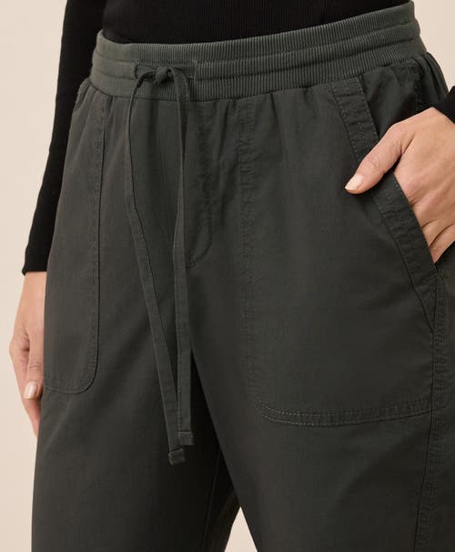 Pact Organic Cotton Monterey Poplin Jogger In Green