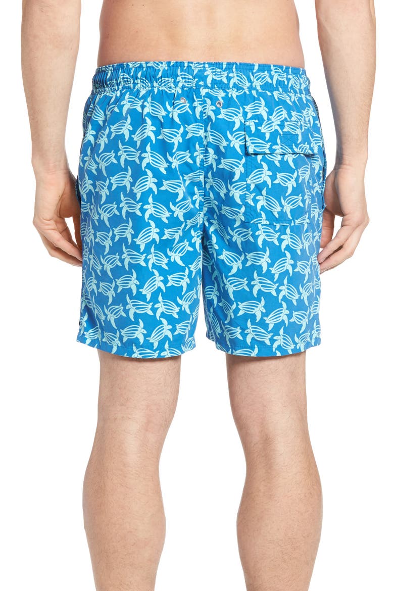 Turtle Print Swim Trunks, Alternate, color, MID BLUE AND SKY