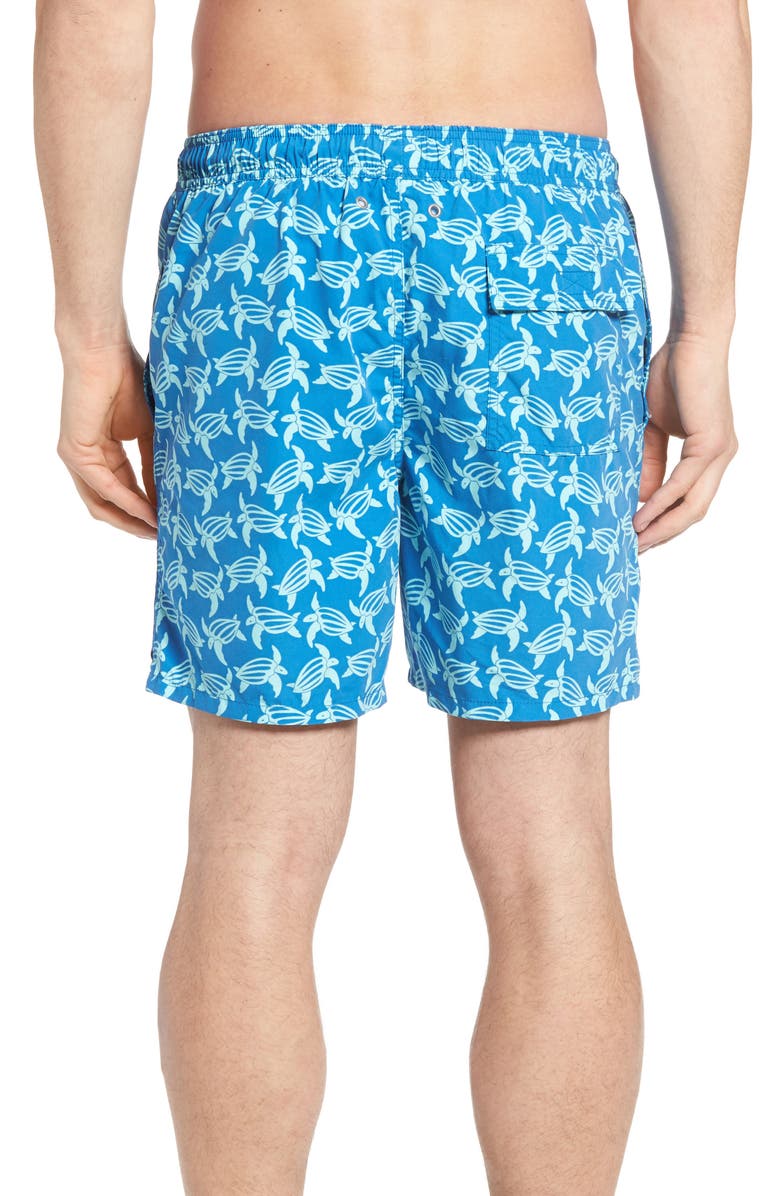 Tom & Teddy Turtle Print Swim Trunks, Alternate, color, 