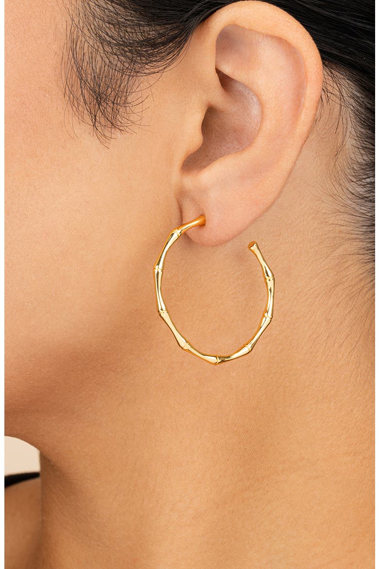 Delia Textured Hoop Earrings, Alternate, color, GOLD