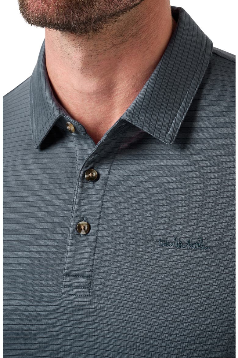 The Zinna 2.0 Long Sleeve Polo, Alternate, color, MOOD INDIGO/ VINTAGE INDIGO