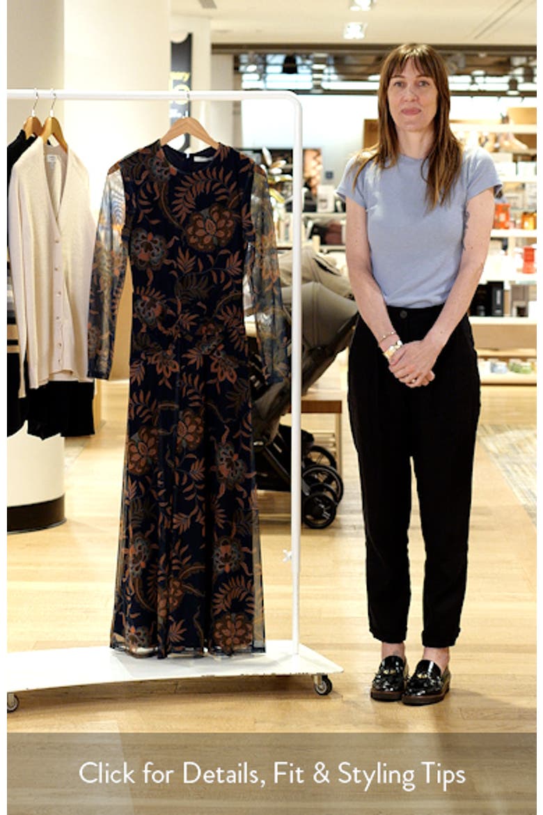 Long Sleeve Floral Print Mesh Maxi Dress video