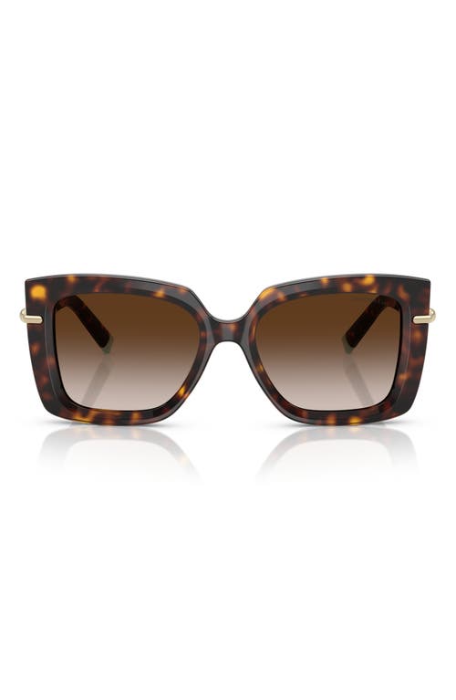 Tiffany & Co. 53mm Gradient Butterfly Sunglasses in Havana /Brown Gradient 