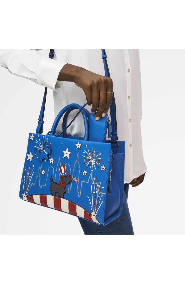 Radley Fireworks And Stripes Medium Ziptop Satchel Bag, Alternate, color, Cobalt