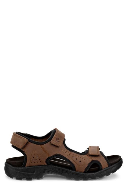Ecco Hike Sandal