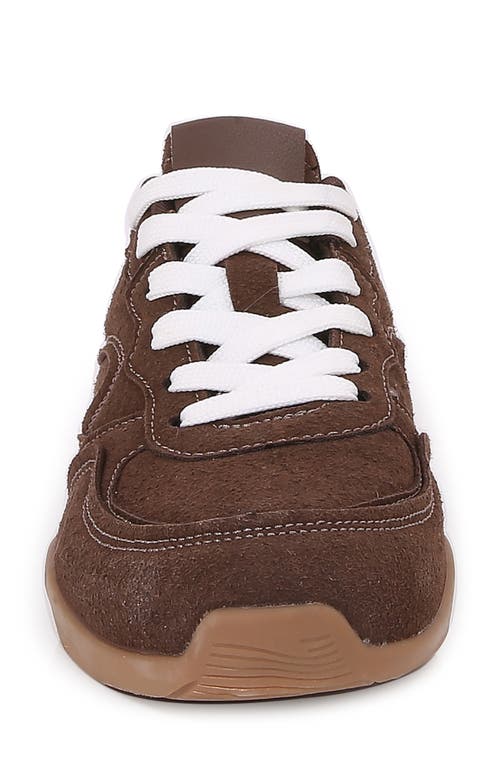 Berness Low Top Sneaker In Brown