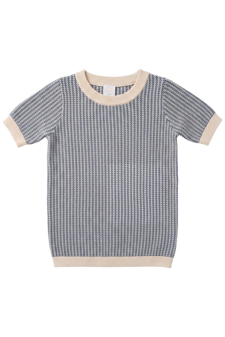 Crew Neck in Knit Texture Top, Main, color, Moonlight