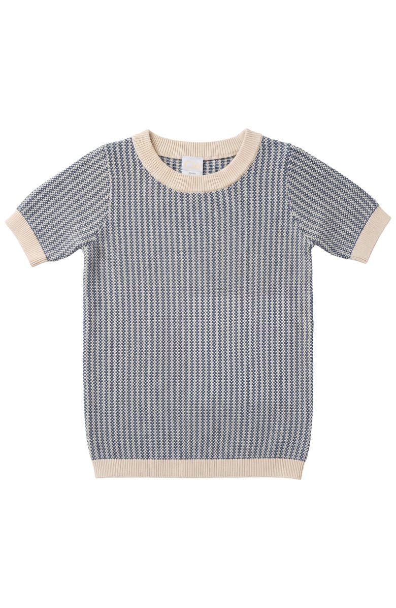 Clô Crew Neck in Knit Texture Top, Main, color, Moonlight