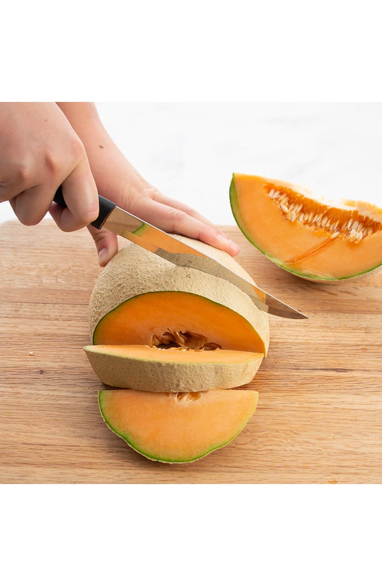 Rada 8 Piece Meat Lover
s Set with Carving Set and Steak Knives, Alternate, color, Black