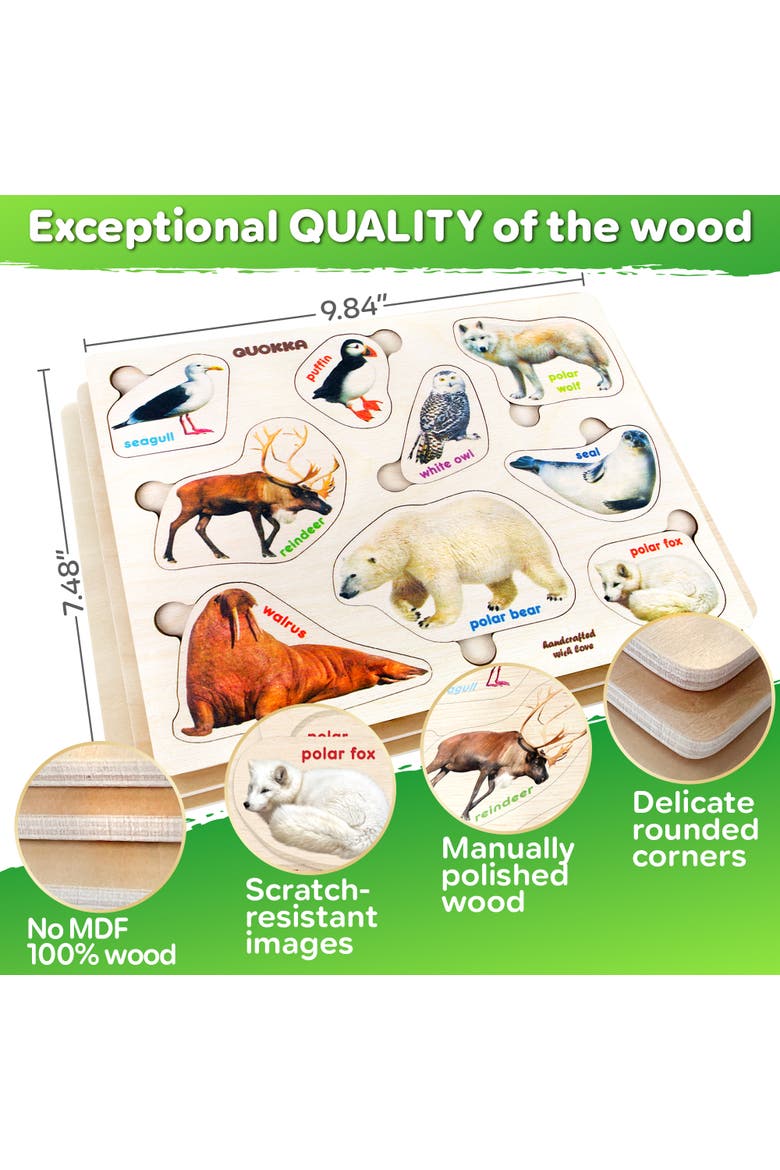 3xSET Montessori Wooden Puzzles for Toddlers, Alternate, color, Insects, arctic animals, birds