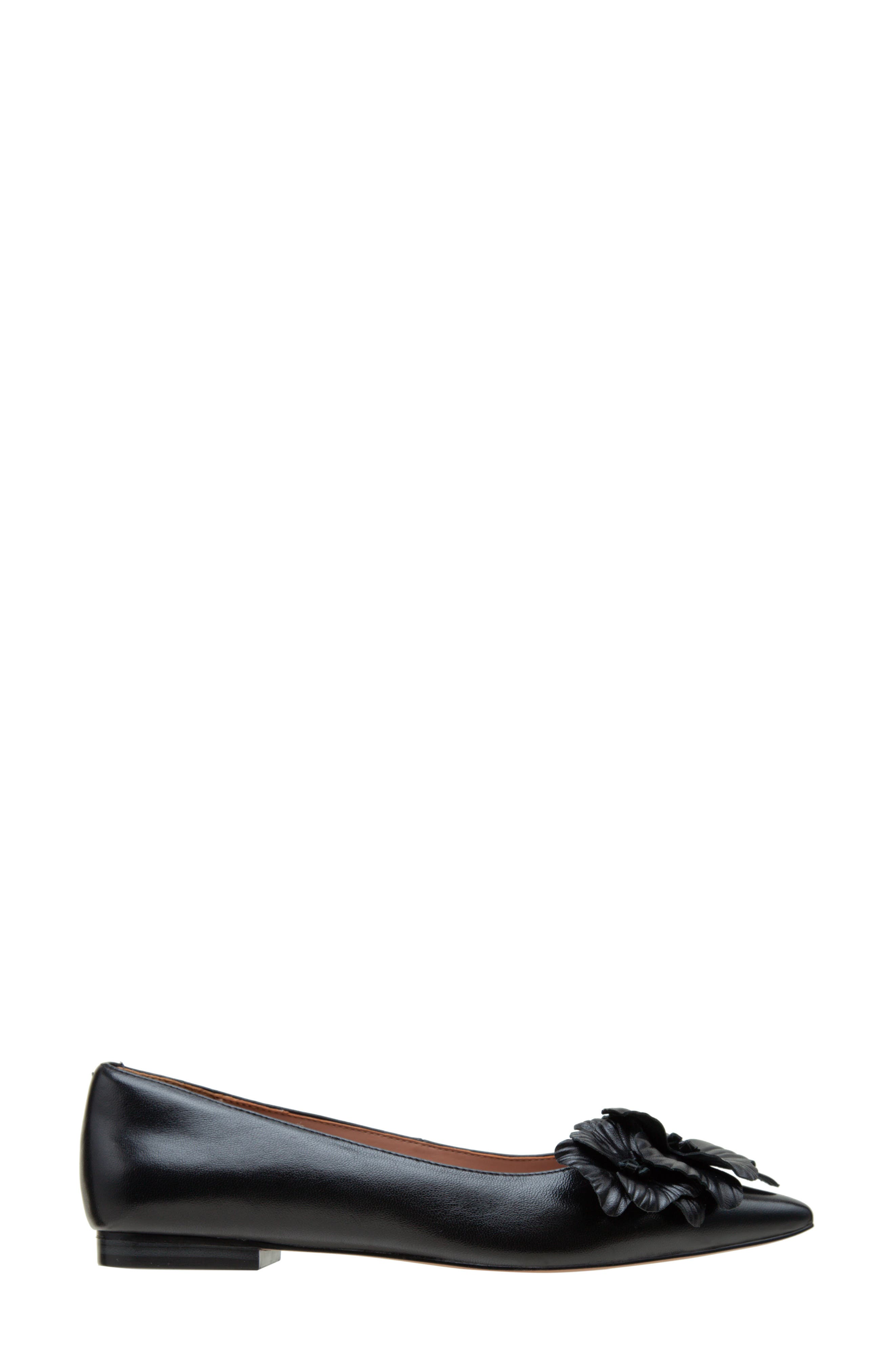 Linea Paolo Nerine Pointed Toe Flat, Alternate, color, Black