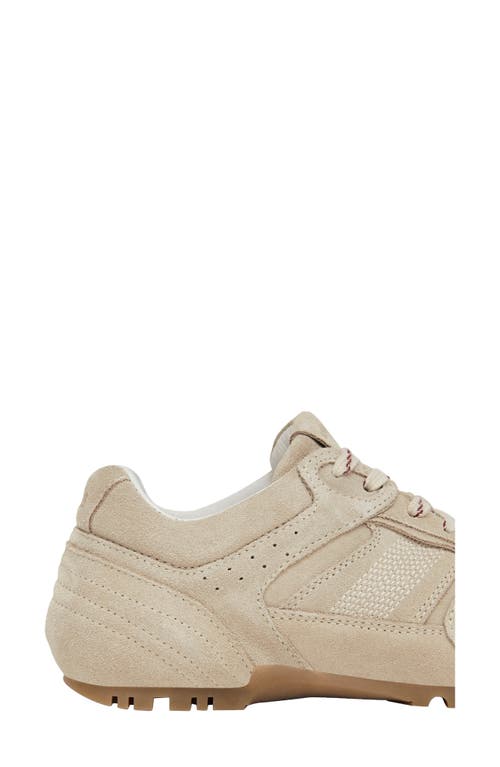 Alohas Suede Lace-up Sneakers In Neutral