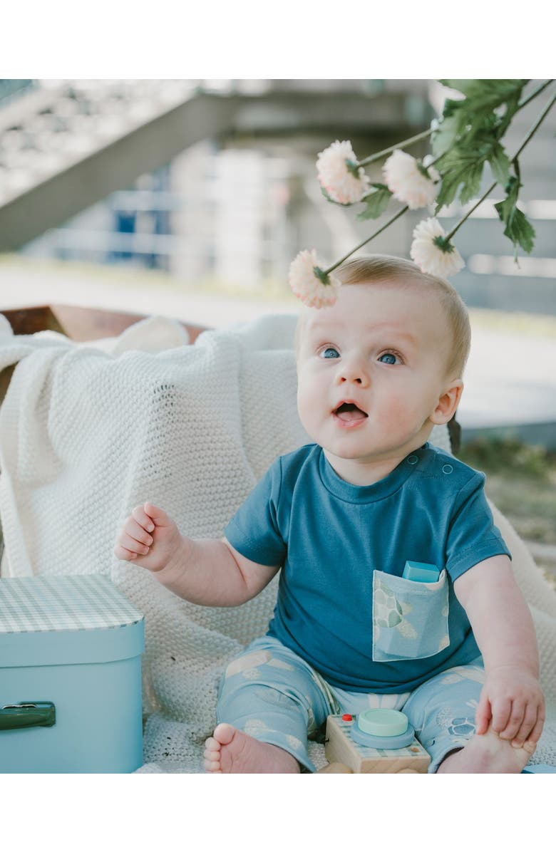 Deux par Deux Organic Cotton Turtle Print Jersey T-Shirt and Pants Set, Alternate, color, Medium Blue & Blue Turtle