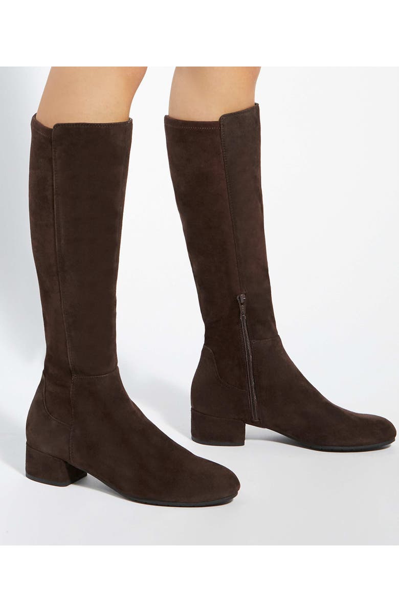 Dune London Tayla Knee High Boot, Alternate, color, Brown