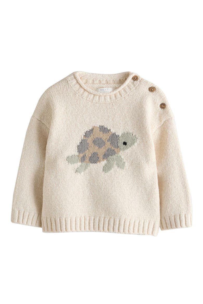 Kids' Turtle Sweater, Main, color, CREAM