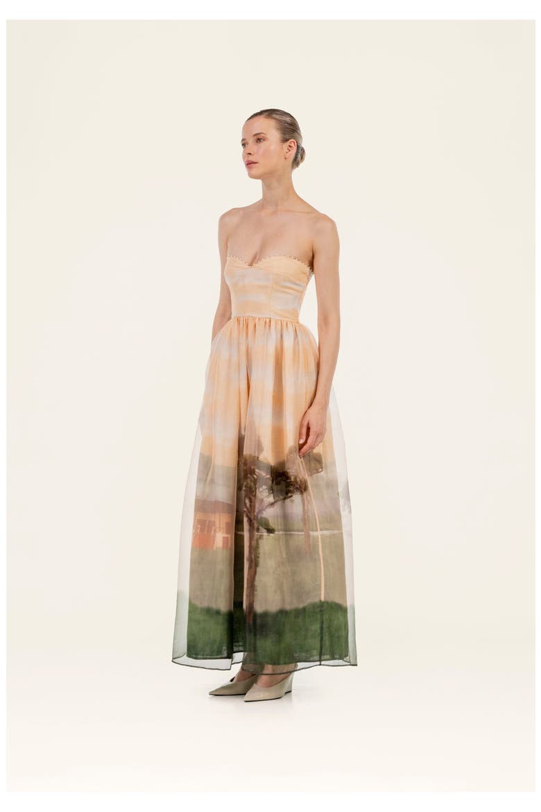 Tonia Paraiso Maxi Dress, Alternate, color, Orange