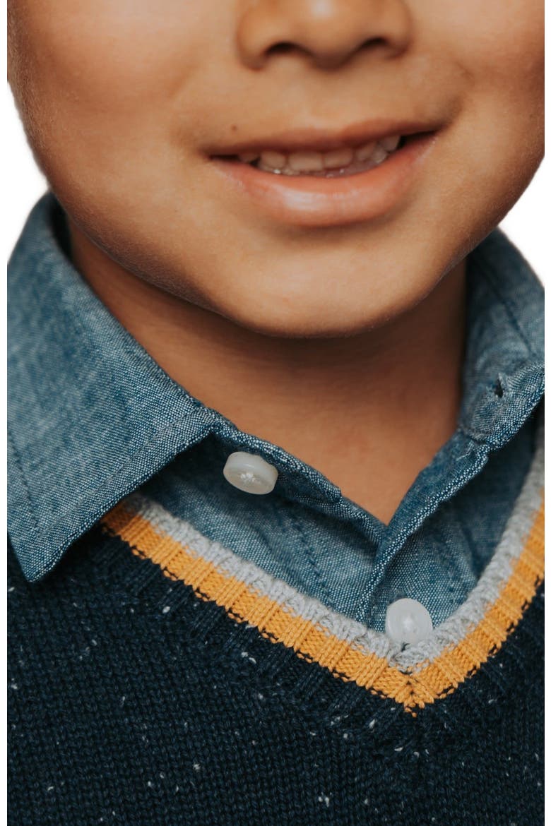 Boys' Organic V-Neck Sweater, Kids, Alternate, color, Navy Fleck with Tipping